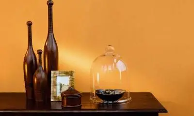 Flamant Suite I - Les Unis