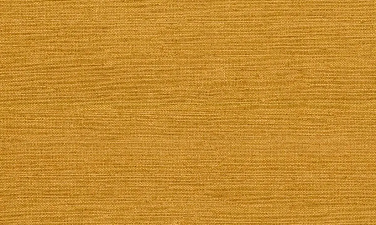 Micron