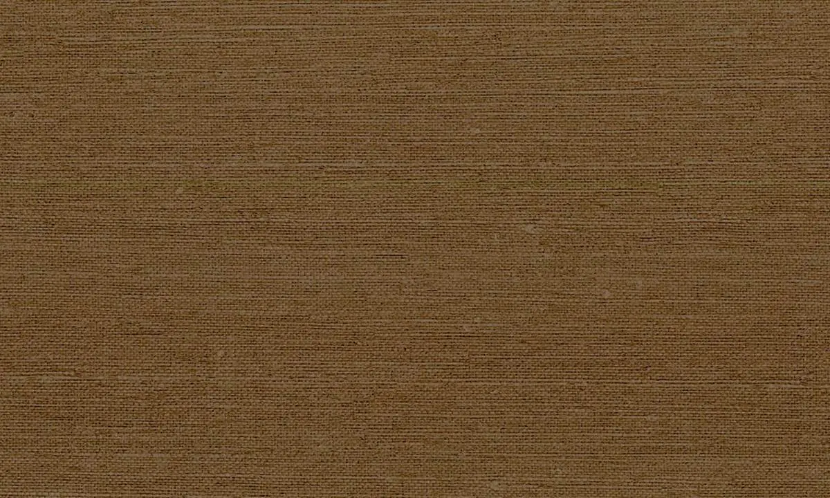 Micron